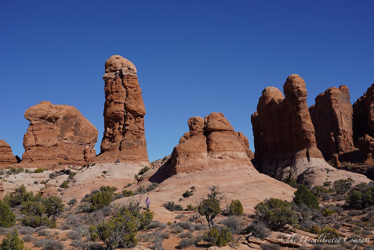 Top 5 Things in Arches National Park