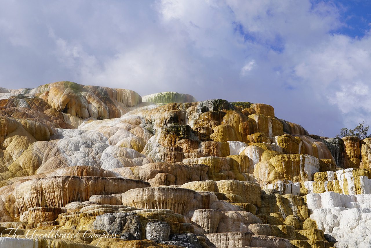 Top 7 Places to Visit in Yellowstone