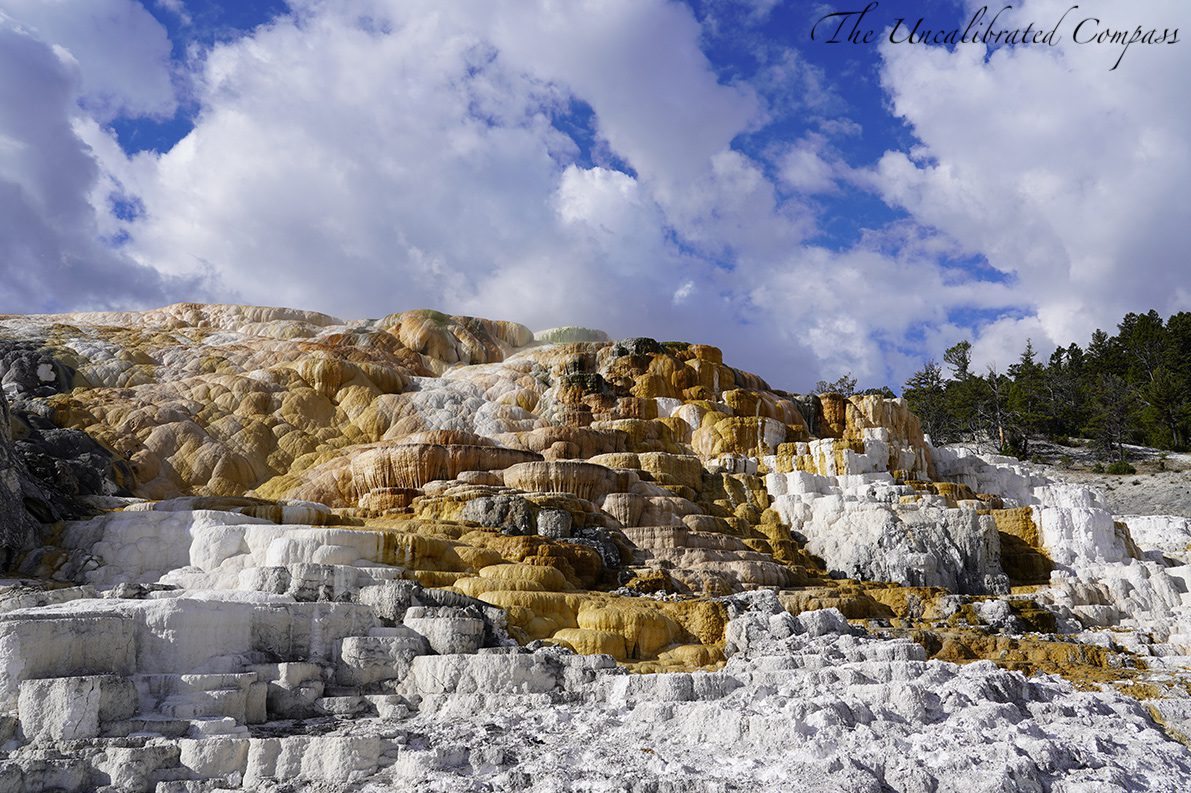 Yellowstone Adventure Guide
