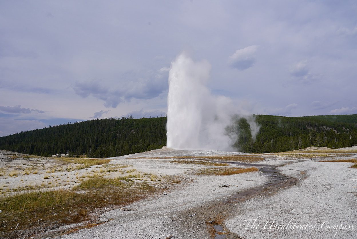 Top 7 Places to Visit in Yellowstone