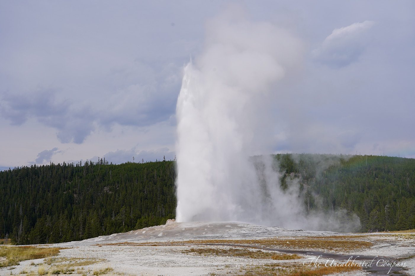 Yellowstone Adventure Guide