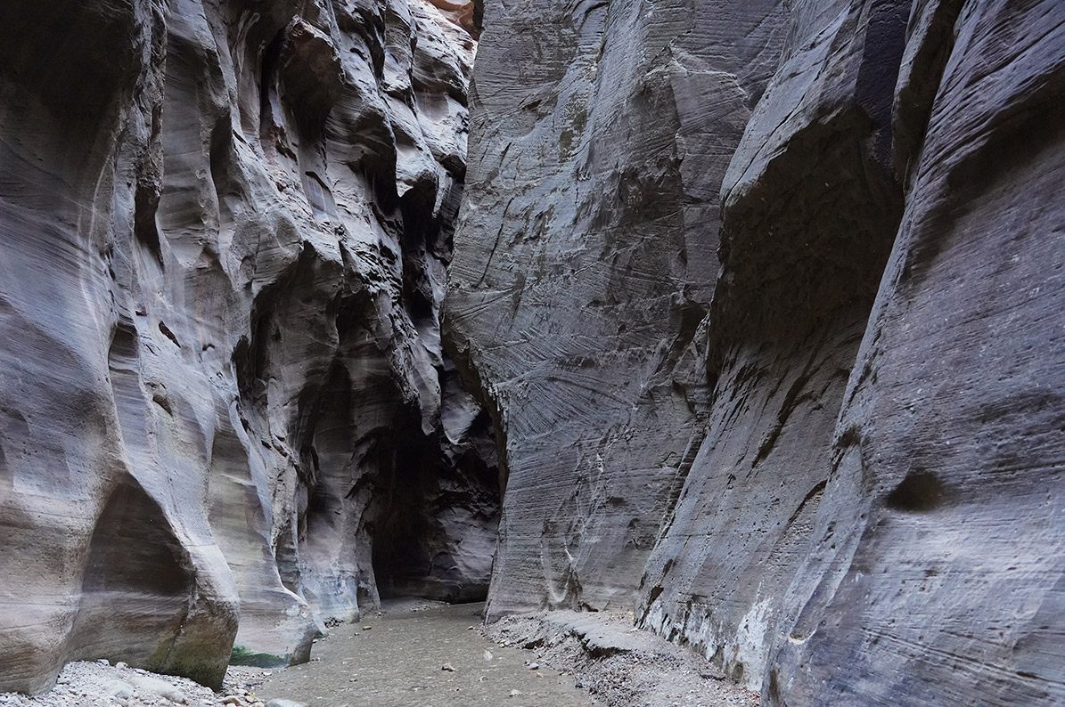 The Zion Narrows: Ultimate Guide to Utah’s Epic Hike