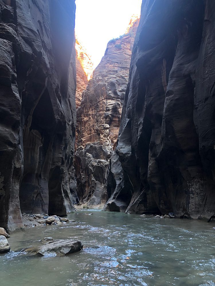 The Zion Narrows: Ultimate Guide to Utah’s Epic Hike